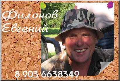 Секция кровного собаководства