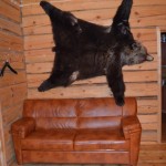 Отрадное 044