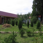 Охотничья база Дивное