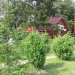 Охотничья база Дивное