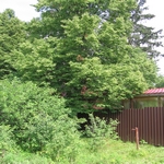 Охотничья база Дивное