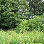 Охотничья база Дивное