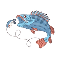 Рыбалка в Отрадном