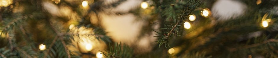 Серпуховская районная общественная организация межрегиональной спортивной общественной организации