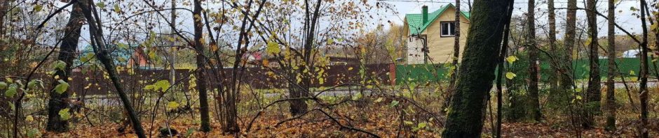 В филиале «Русский лес» продолжается работа по уборке неликвидной древесины