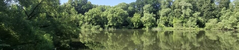 Нерест завершился - приступаем к работе на водной глади