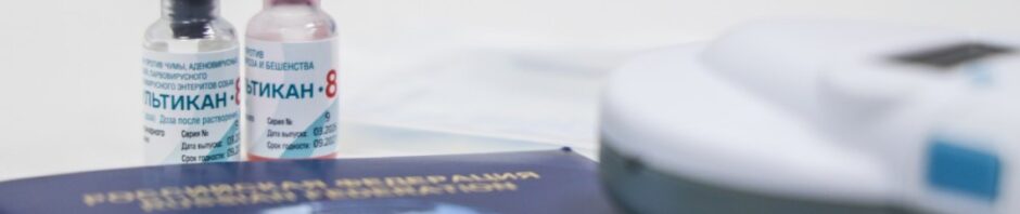 В Подмосковье ветеринары оформили более 6 тысяч документов для поездок с питомцами